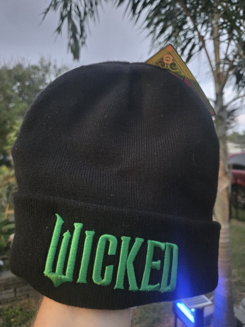 Universal Black Beanie with Green 'WICKED' Embroidery